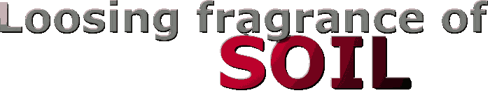soil degradation and loss of earth fragrance